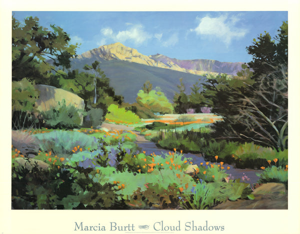 Cloud Shadows by Marcia Burtt - 38 X 48 Inches (Art Print)