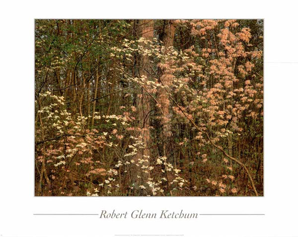 Chattahoochee by Robert Glenn Ketchum - 24 X 30 Inches (Art Print)