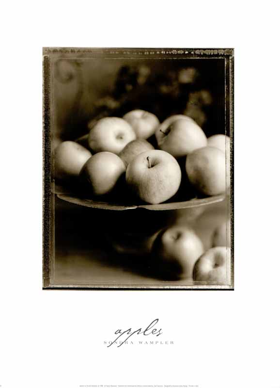 Apples by Sondra Wampler - 18 X 24 Inches (Art Print)