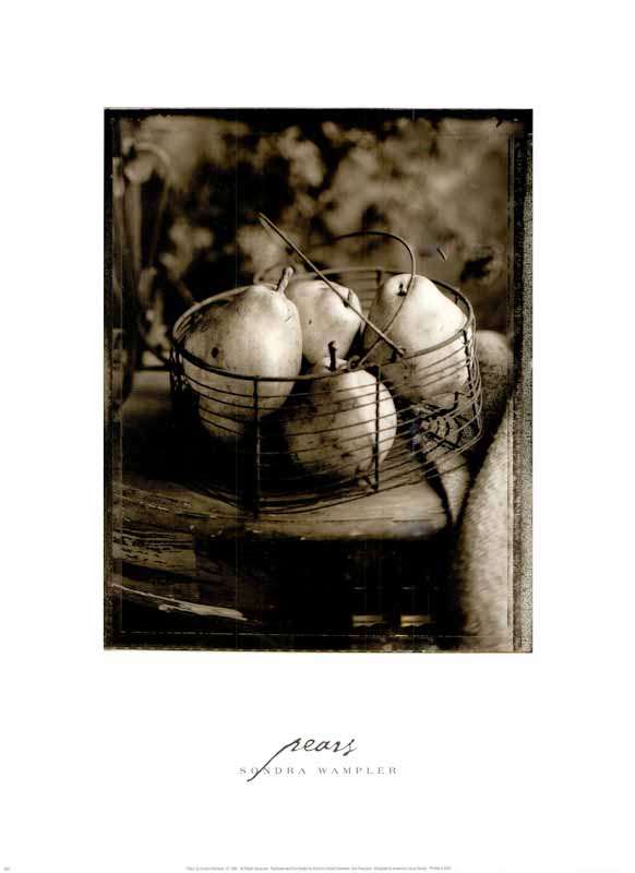 Pears by Sondra Wampler - 18 X 24 Inches (Art Print)