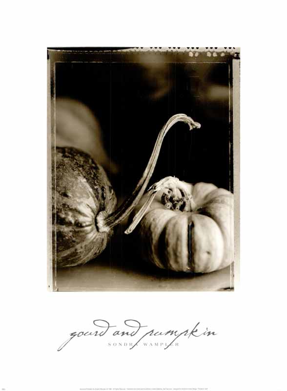 Gourd And Pumpkin by Sondra Wampler - 18 X 24 Inches (Art Print)