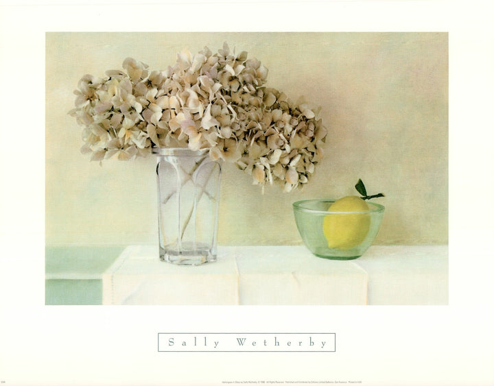 Hydrangeas in Glass by Sally Wetherby - 16 X 20 Inches (Art Print)