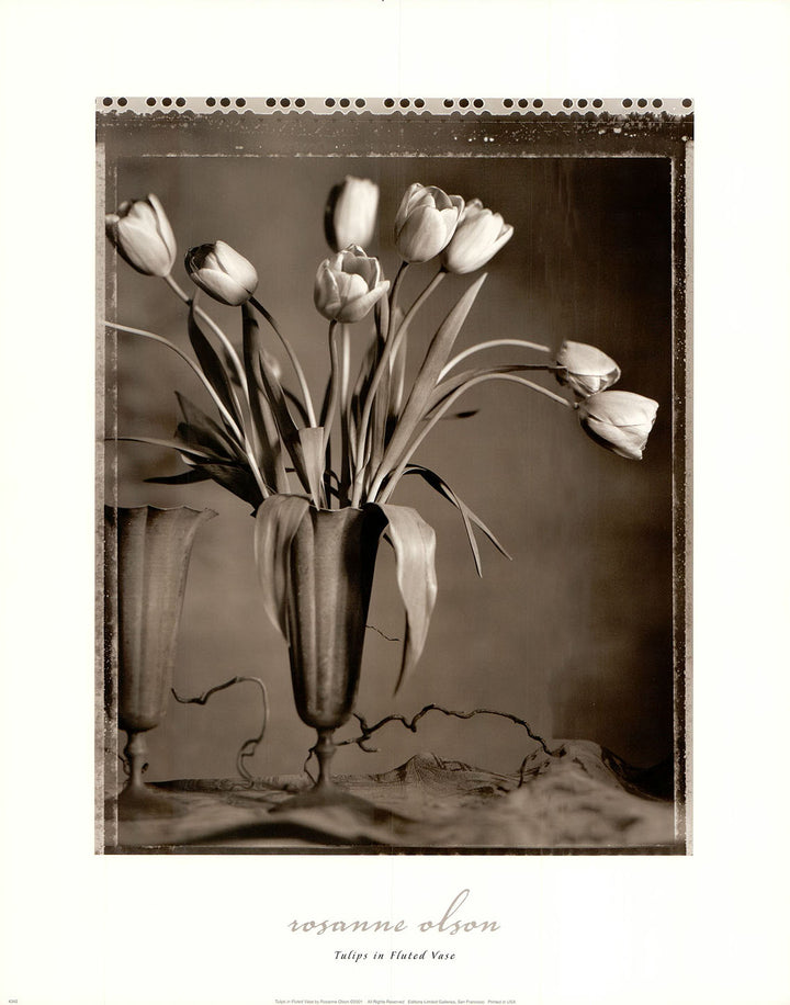 Tulips In Fluted Vase by Rosanne Olson - 16 X 20 Inches (Art print)
