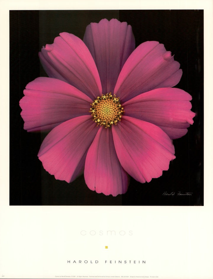 Cosmos by Harold Feinstein - 11 X 14 Inches (Art Print)
