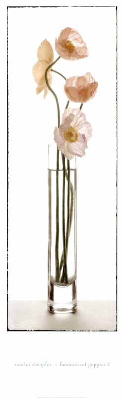 Luminescent Poppies II by Sondra Wampler - 12 X 36 Inches (Art Print)
