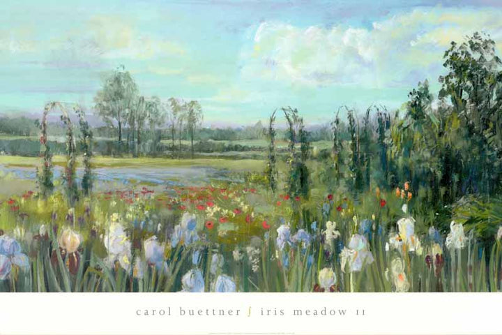 Iris Meadow II by Carol Buettner - 24 X 36 Inches (Art Print)