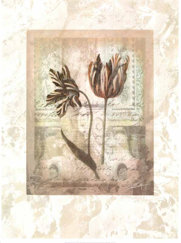 Botanical Tulips II by John Butler - 19 X 25 Inches (Art Print)
