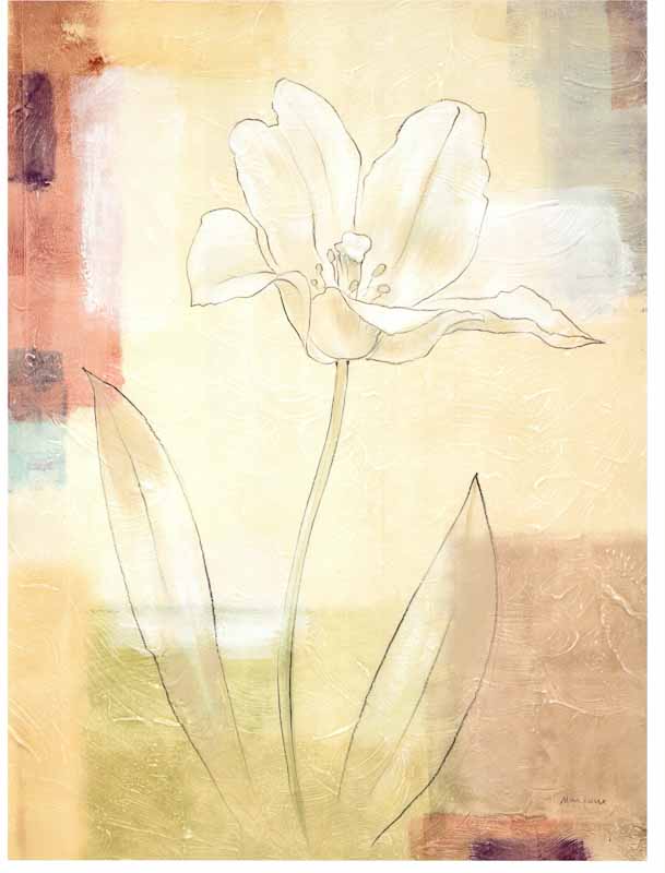 Tulip Study I by Julianne Marcoux - 19 X 25 Inches (Art Print)