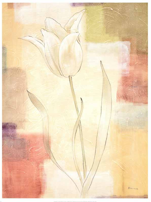 Tulip Study II by Julianne Marcoux - 19 X 25 Inches (Art Print)