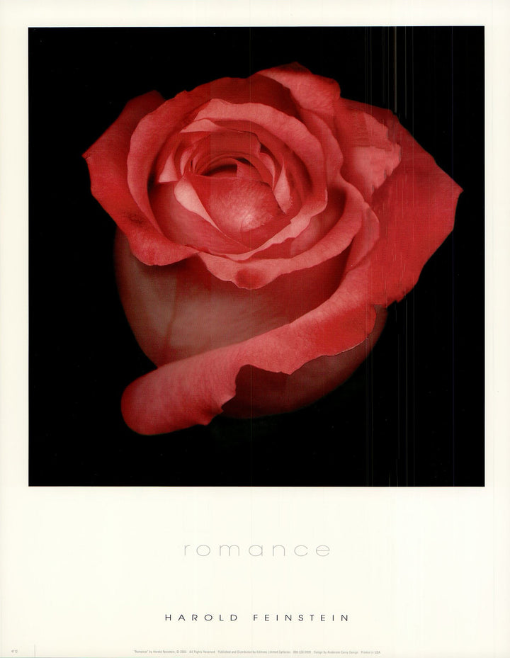 Romance by Harold Feinstein - 11 X 14 Inches (Art Print)