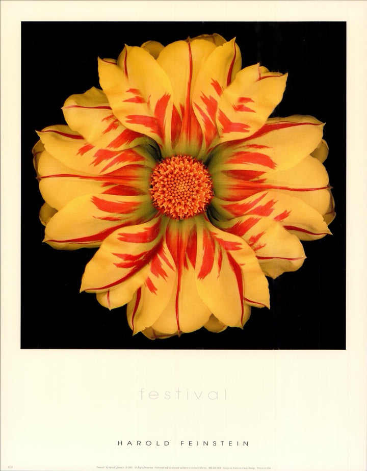 Festival by Harold Feinstein - 11 X 14 Inches (Art Print)