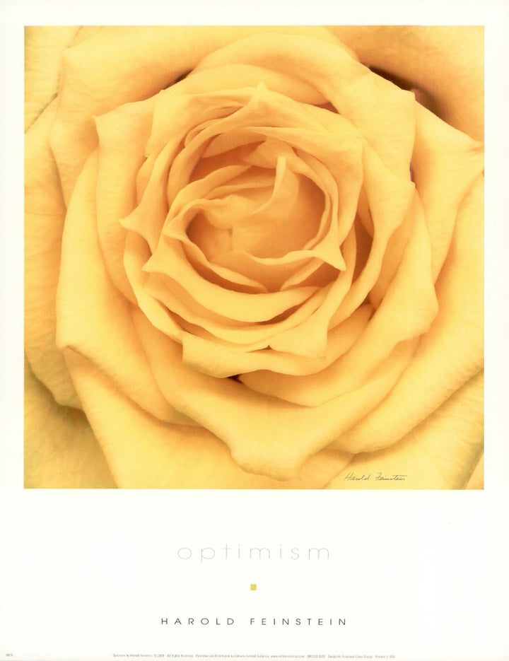 Optimism by Harold Feinstein - 11 X 14 Inches (Art Print)