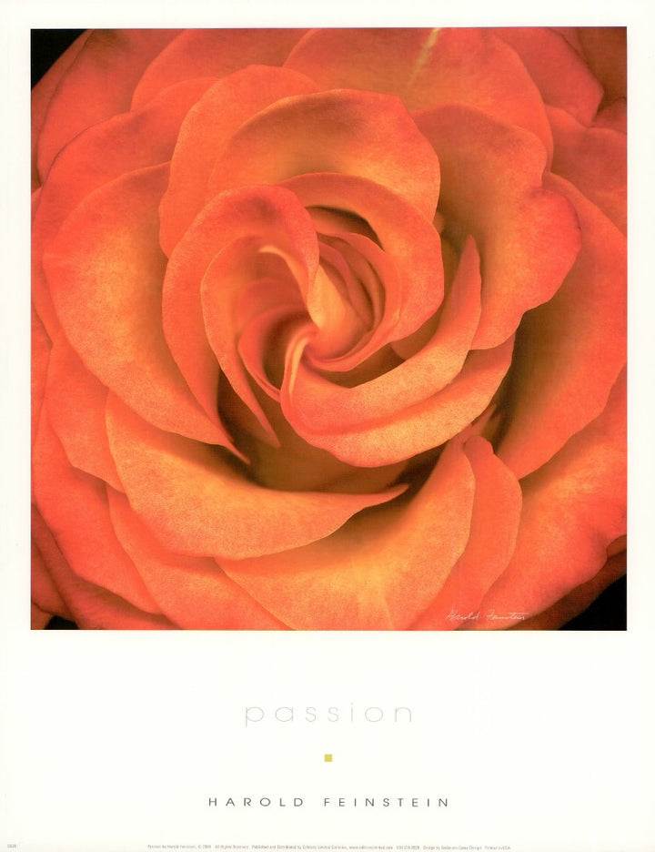 Passion by Harold Feinstein - 11 X 14 Inches (Art Print)