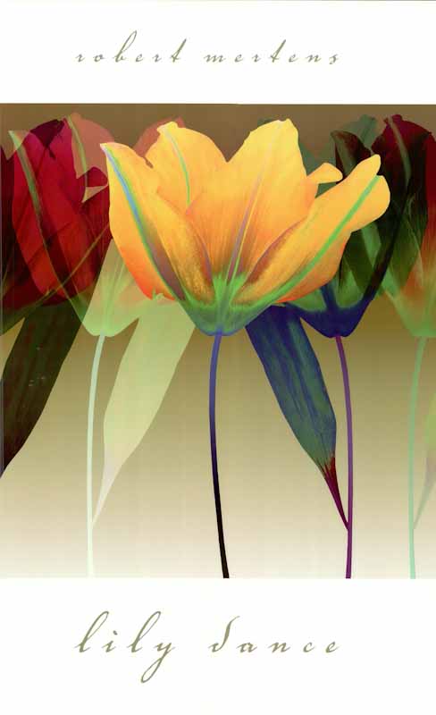 Lily Dance by Robert Mertens - 24 X 36 Inches (Art Print)