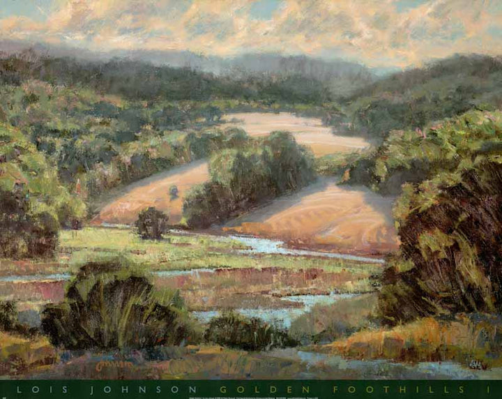 Golden Foothills I by Lois Johnson - 19 X 24 Inches (Art Print)