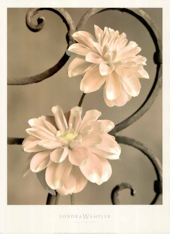 Iron Trellis IV by Sondra Wampler - 18 X 24 Inches (Art Print)