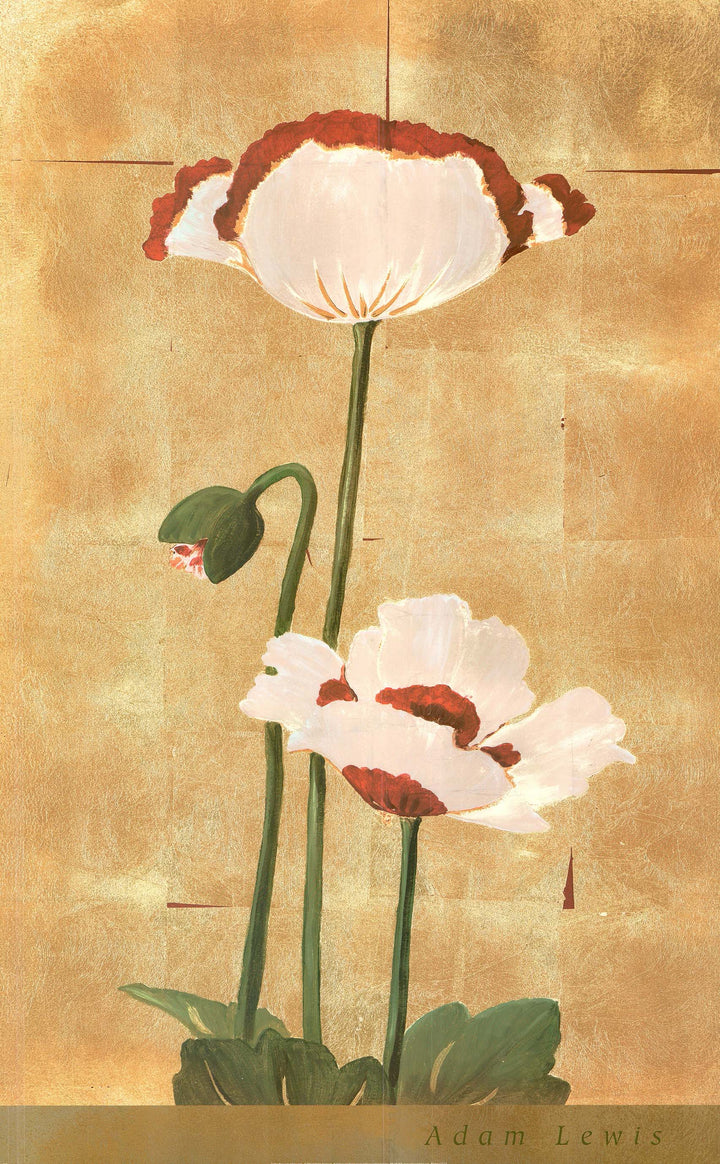 Golden Poppy I by Adam Lewis - 24 X 38 Inches (Art Print)