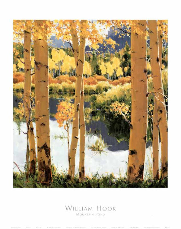 Mountain Pond by William Hook - 27 X 32 Inches (Art Print)