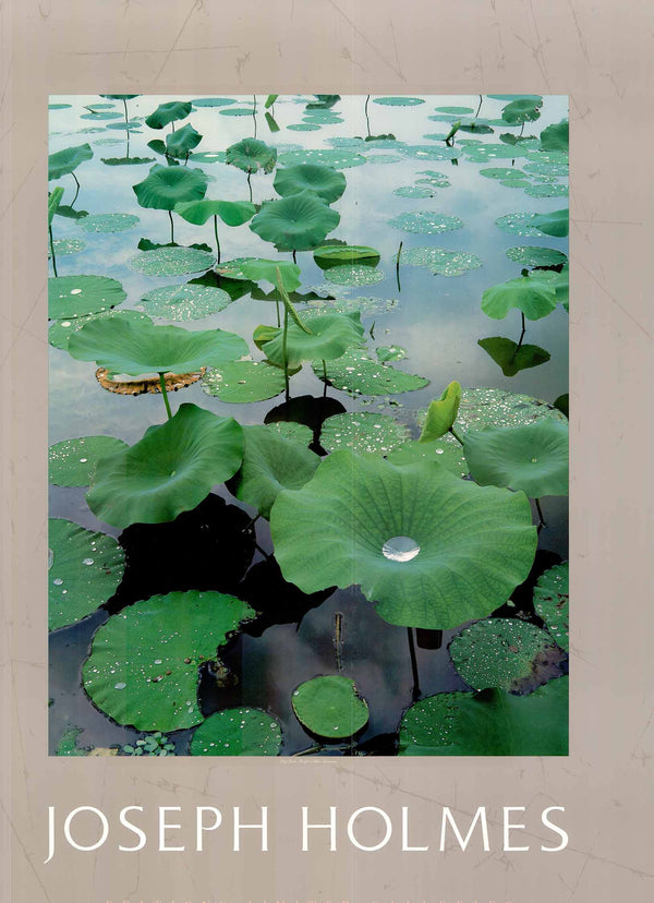 Lily Pads, Reelfoot Lakes, Tennessee by Joseph Holmes - 25 X 35 Inches (Art Print)