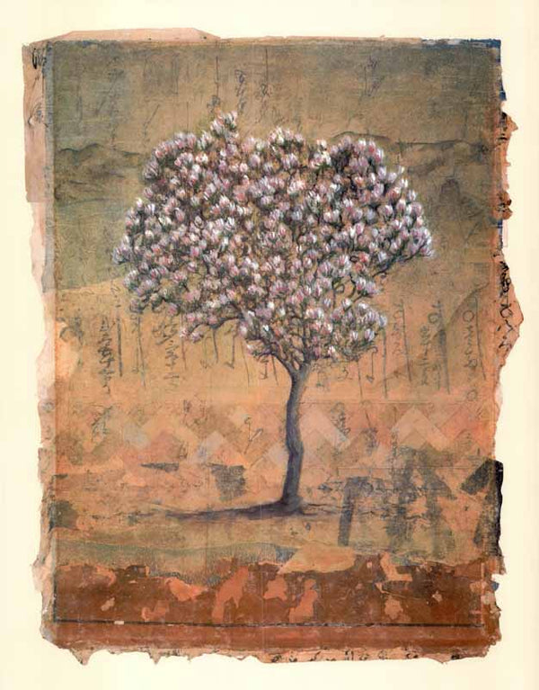 Magnolia Tree Study 1999 by Donald Farnsworth - 19 X 24 Inches (Art Print)