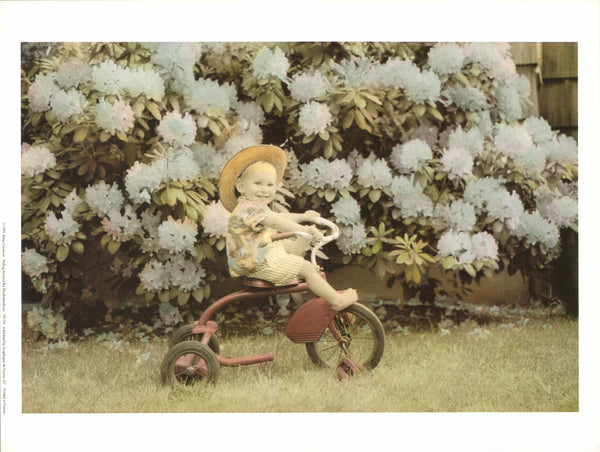 Riding Around the Rhododendrons by Betsy Cameron - 10 X 12 Inches (Art Print)