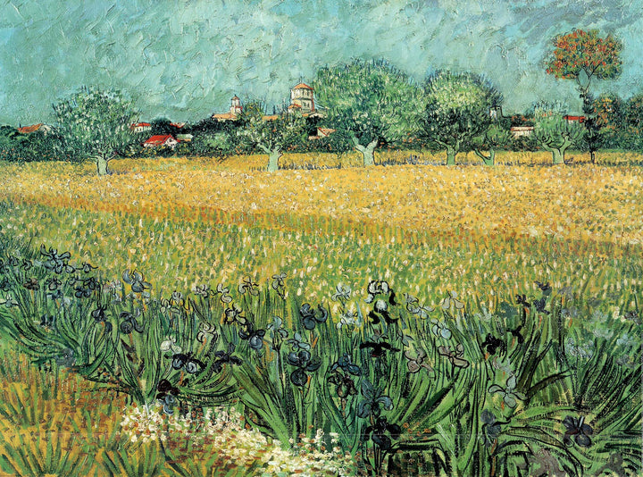 View of Arles Irises, 1888 by Vincent Van Gogh - 24 X 32 Inches (Art Print)