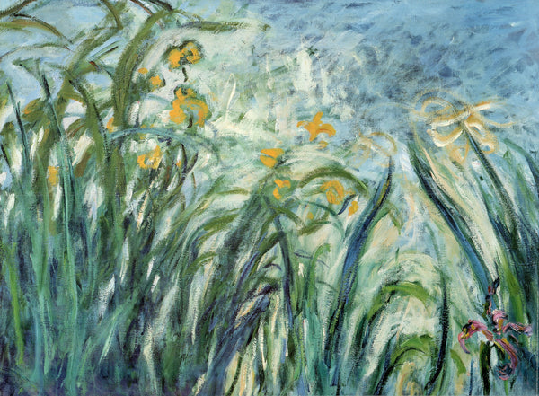 Yellow and Purple Irises, 1924-1925 by Claude Monet - 24 X 32 Inches (Art Print)