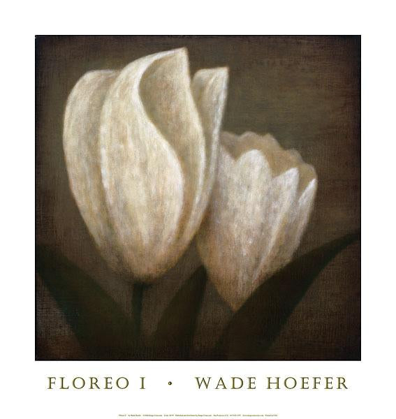 Floreo I by Wade Hoefer - 17 X 18 Inches (Art Print)