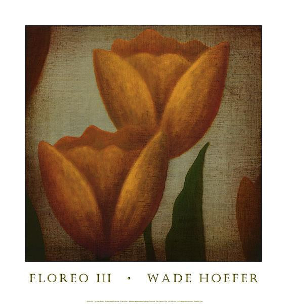 Floreo III by Wade Hoefer - 17 X 18 Inches (Art Print)
