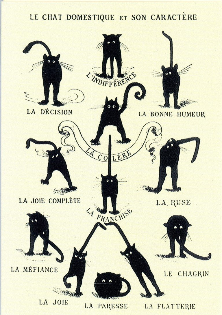 Le Chat Domestique et son Caract re The Domestic Cat Greeting