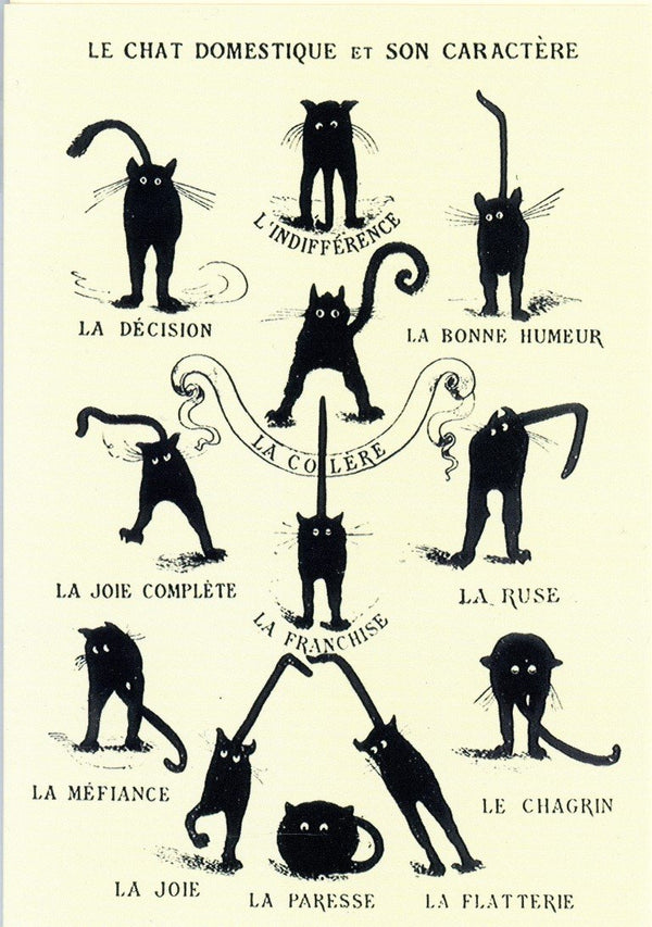 Le Chat Domestique et son Caractère / The Domestic Cat - 5 X 7" (Greeting Card)