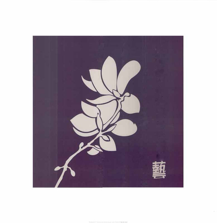Zen Magnolia 1 - 20 X 20 Inches (Art Print)