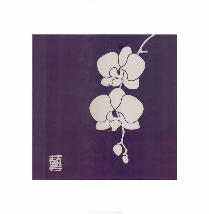 Zen Orchid 1 - 20 X 20 Inches (Art Print)