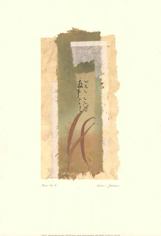 Green Tea II by Susan Jokelson - 13 X 18 Inches (Art Print)