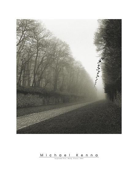 Suspended Vine by Michael Kenna - 18 X 24 Inches (Art Print)