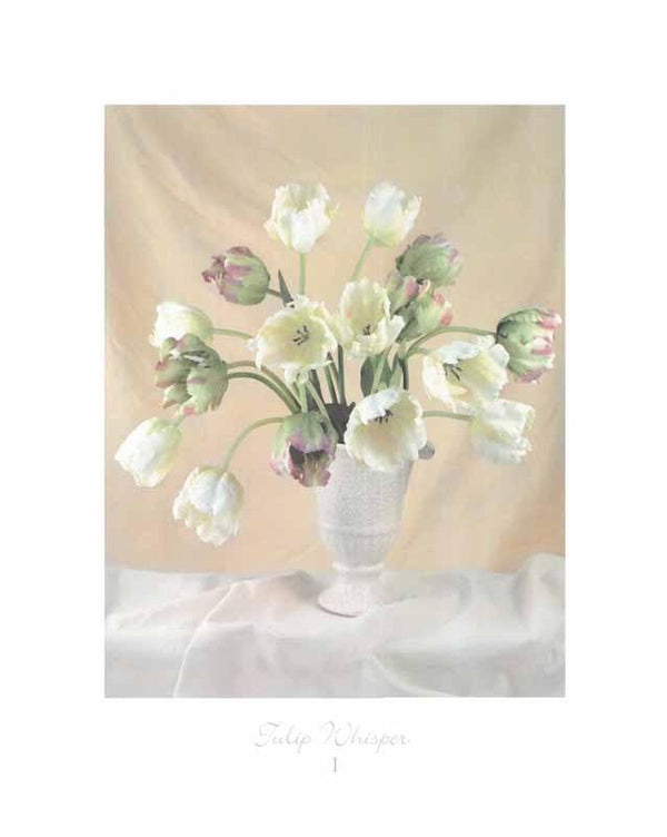 Tulip Whisper I by Mark Lauder - 16 X 20 Inches (Art Print)