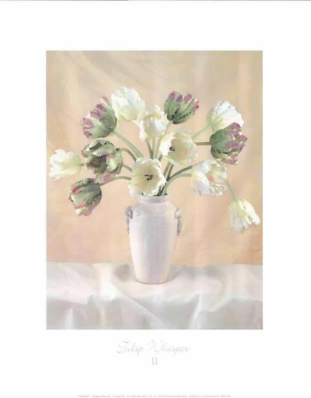 Tulip Whisper II by Mark Lauder - 16 X 20 Inches (Art Print)