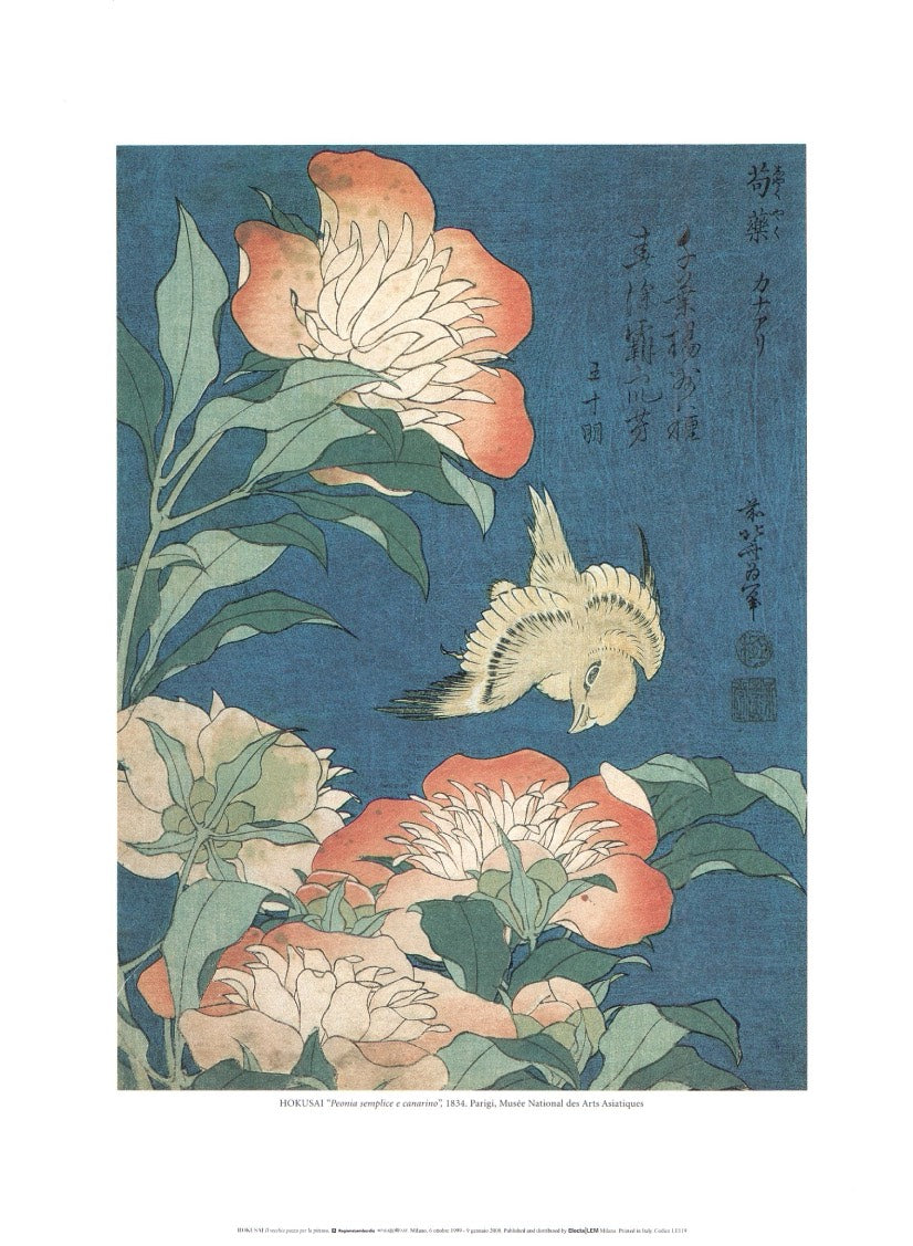 Simple Peony and Canary, 1834 by Katsushika Hokusai -12X16