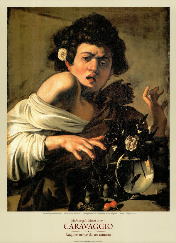 Boy bitten by a lizard by Michelangelo Merisi da Caravaggio - 24 X 32 Inches (Art Print)