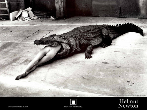 Crocodile Eating Ballerina, Wuppertal, 1983 by Helmut Newton - 24 X 32 Inches (Offset Lithograph)