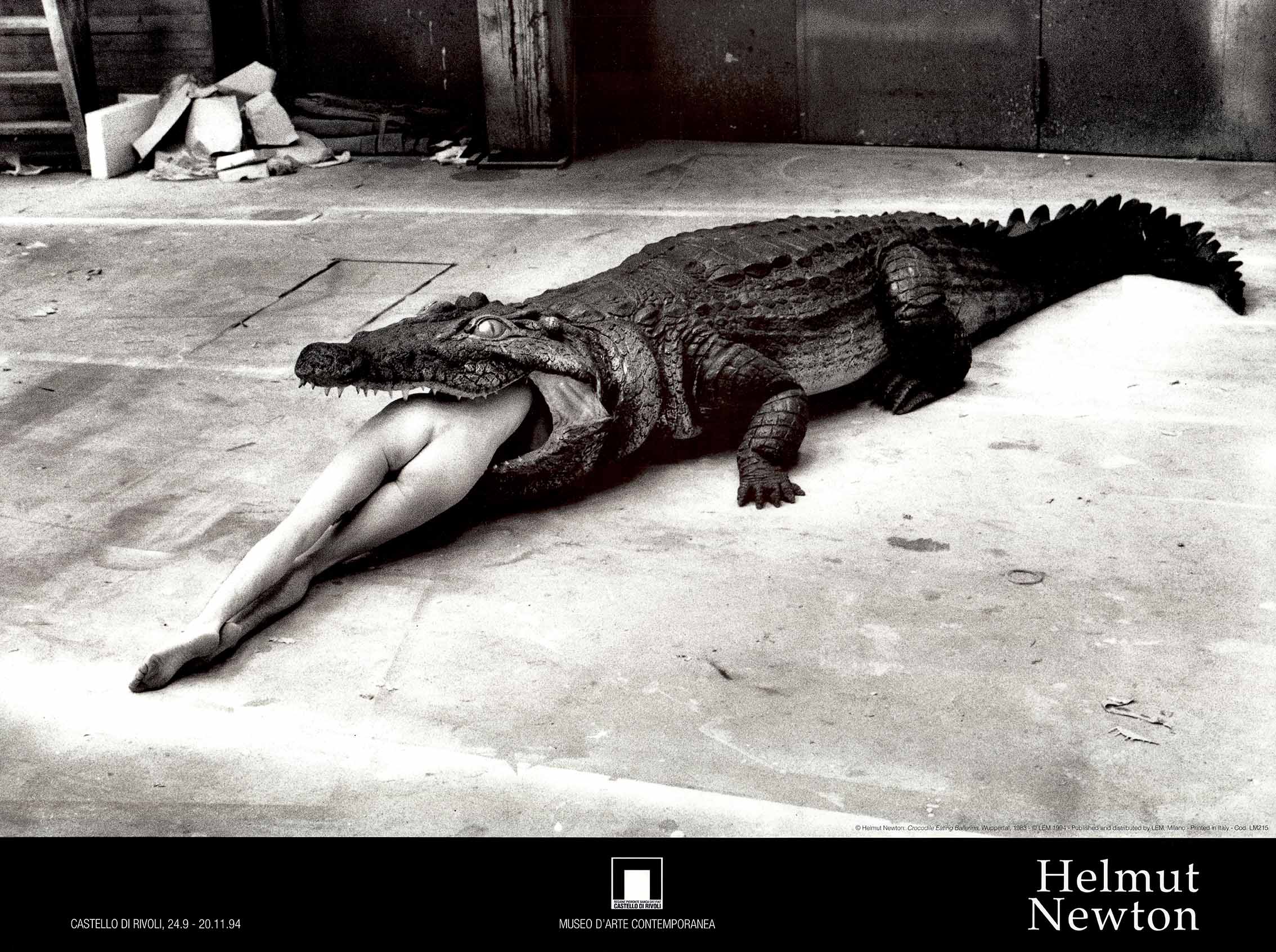 Helmut Newton, Bernice Coppleters (Nude) fashion by Helmut Newton - 28 X 32 Inches Rare Exhibition Poster