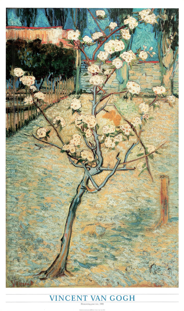 Blossoming pear tree, 1888 by Vincent Van Gogh - 24 X 40 Inches (Art Print)