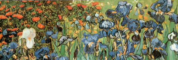Iris, 1889 by Vincent Van Gogh - 13 X 38 Inches (Art Print)