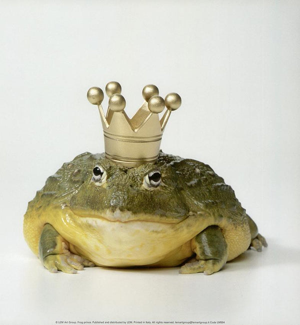 The Frog Prince by Petra Gehlhar - 12 X 12 Inches (Art Print)
