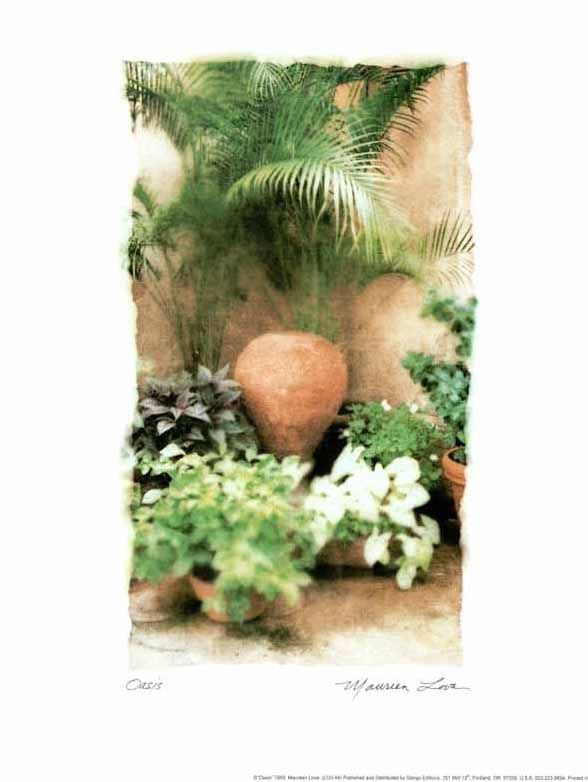 Oasis by Maureen Love - 11 X 14 Inches (Art Print)