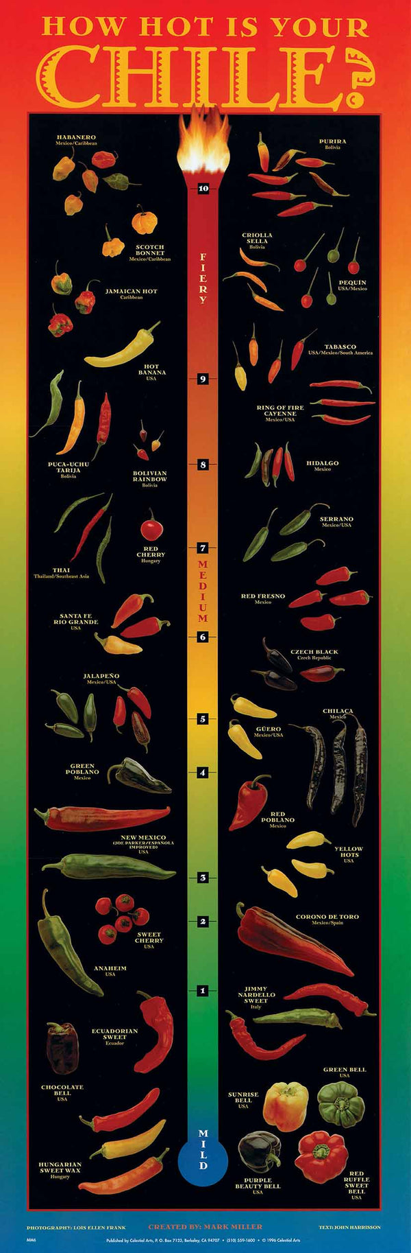 How Hot is your Chile by Mark Miller - 12 X 35 Inches (Art Print)