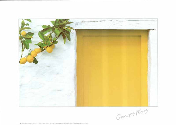 Lemons With Yellow Door by George Meis - 14 X 20 Inches (Art Print)