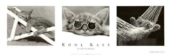 Kool Kats by David McEnery - 12 X 36 Inches (Art Print)