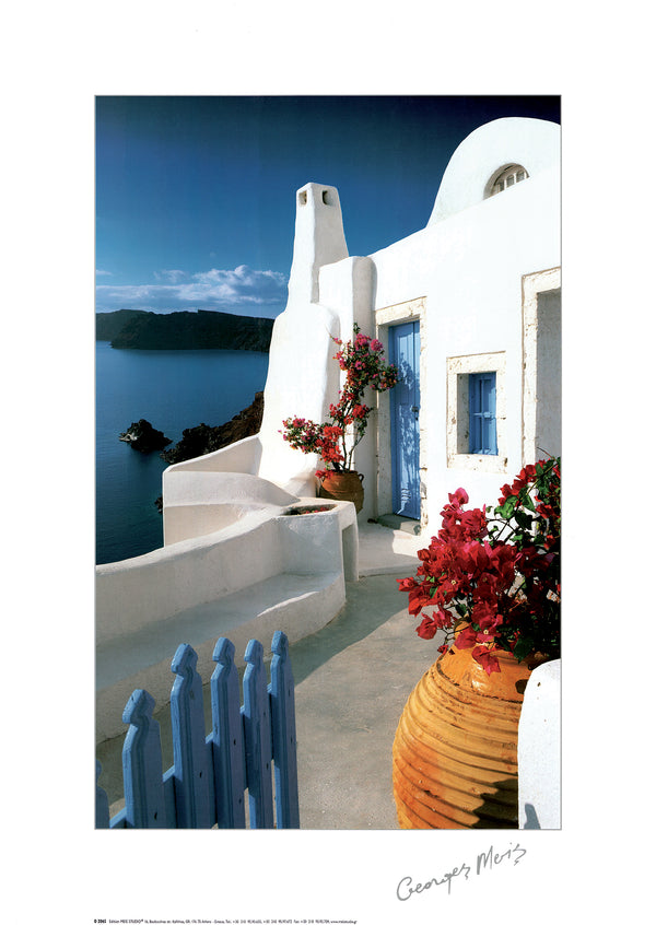 Bougainvillaea Pots by George Meis - 20 X 28 Inches (Art Print)