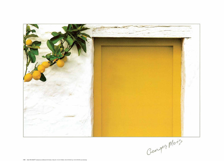 Lemons with Yellow Door by Georges Meis - 20 X 28 Inches (Art Print)